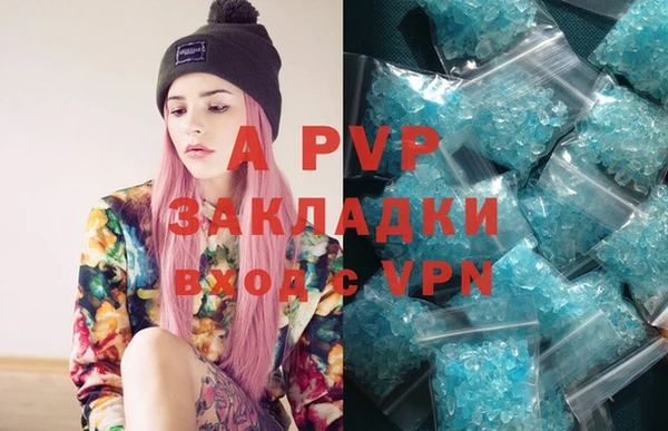 индика Балахна