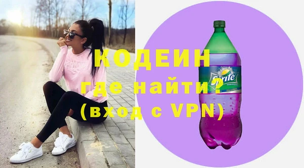 индика Балахна