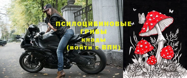 ГАЛЛЮЦИНОГЕННЫЕ ГРИБЫ Баксан