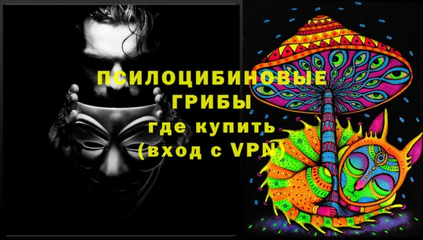 ГАЛЛЮЦИНОГЕННЫЕ ГРИБЫ Баксан