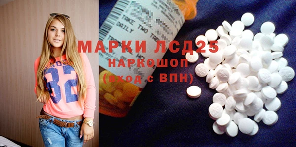 ГАЛЛЮЦИНОГЕННЫЕ ГРИБЫ Баксан