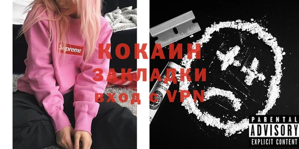 индика Балахна