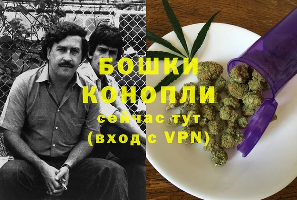 индика Балахна