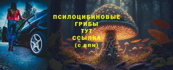 индика Балахна