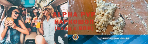 индика Балахна