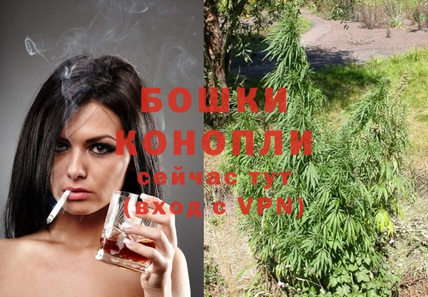 индика Балахна