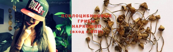 ГАЛЛЮЦИНОГЕННЫЕ ГРИБЫ Баксан