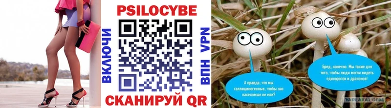купить наркоту  Таруса  Галлюциногенные грибы ЛСД 